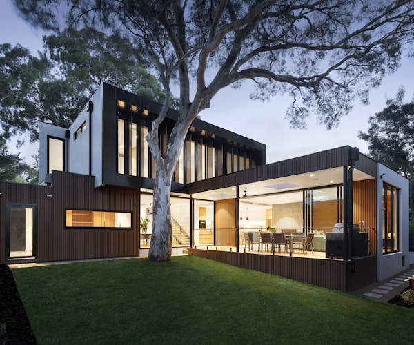 Modern CozyNest building with forest background